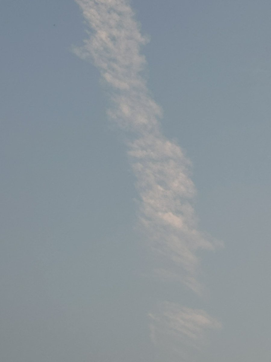 ただくに tweet media