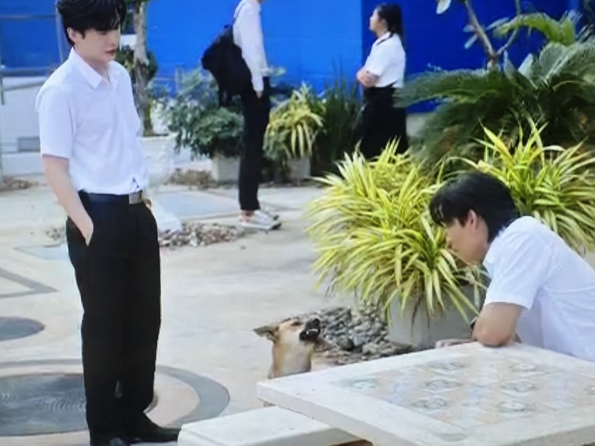 อาทิตย์ ลูก ดิเรก tweet media