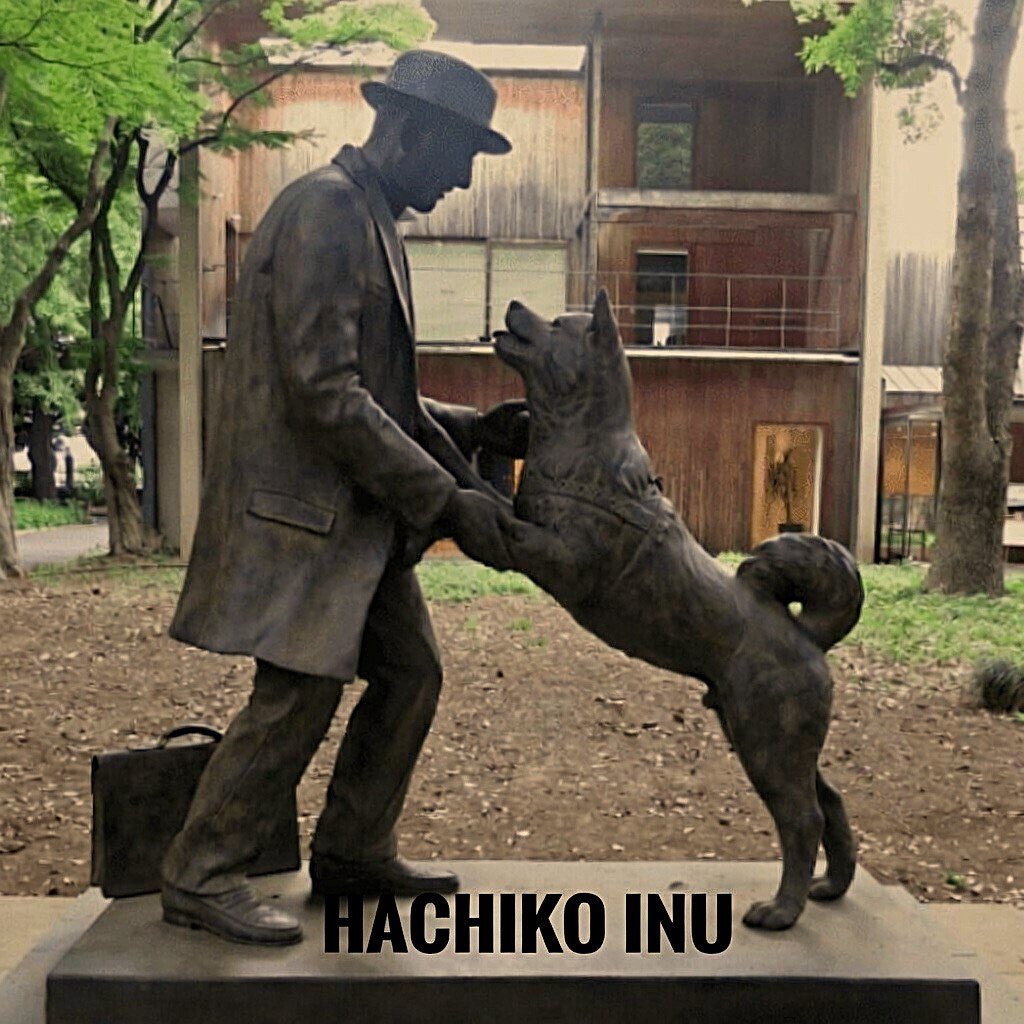 KriptoMerak tweet media