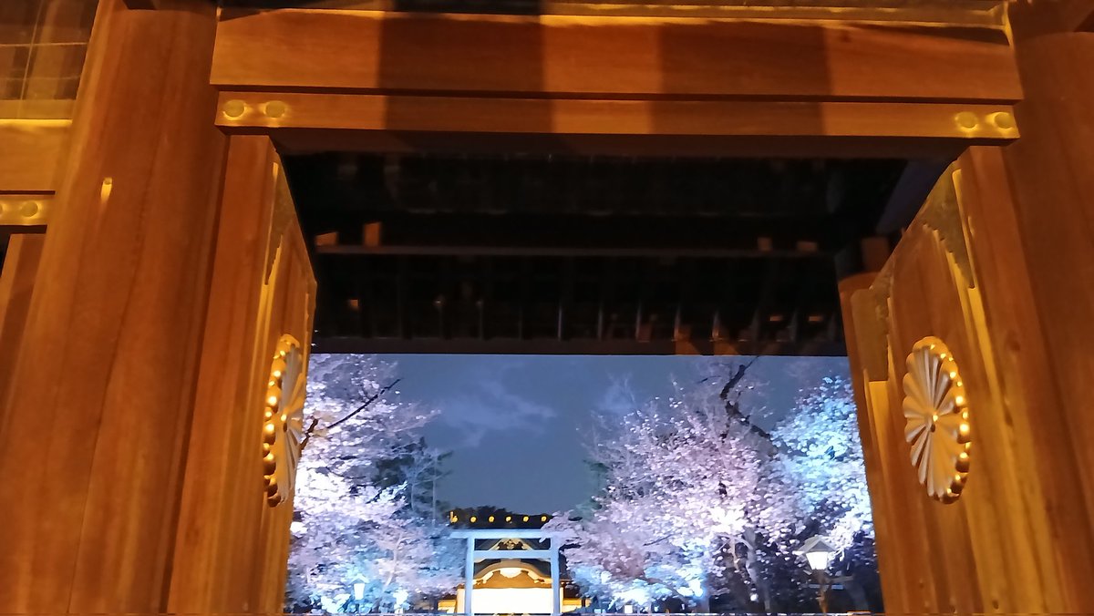 ClausK19's tweet photo. 靖国神社の夜桜詣に来たけど、ここもすごい人 https://t.co/dVEjUUxeEi