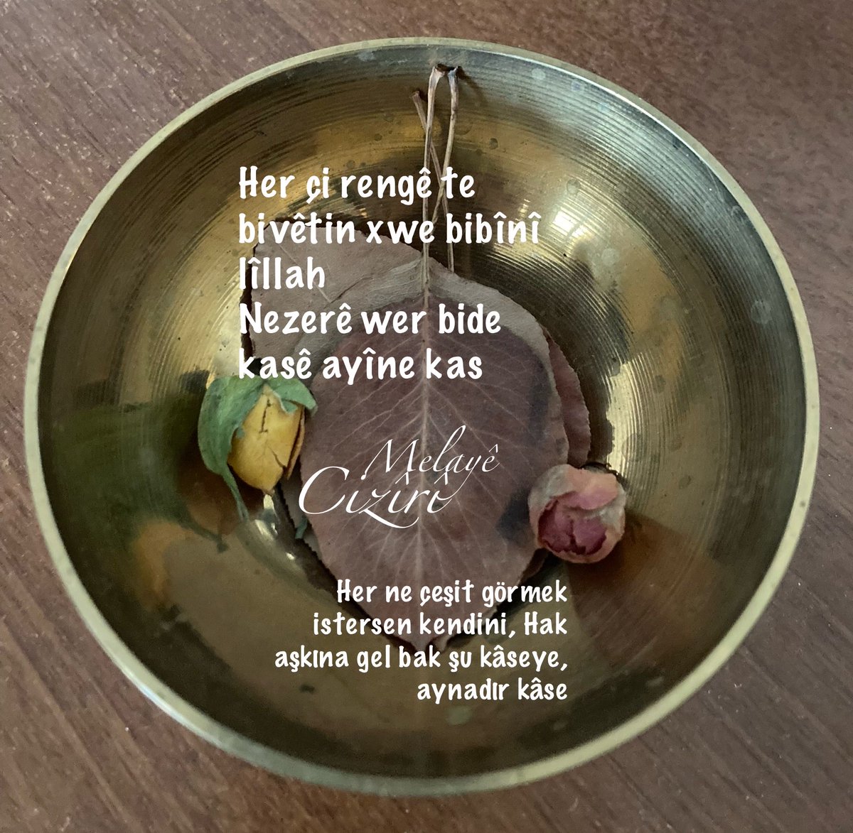 Ali Karadeniz tweet media