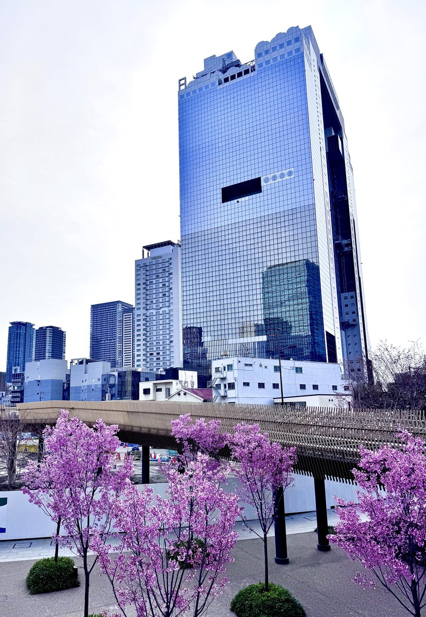 大工のKimura tweet media