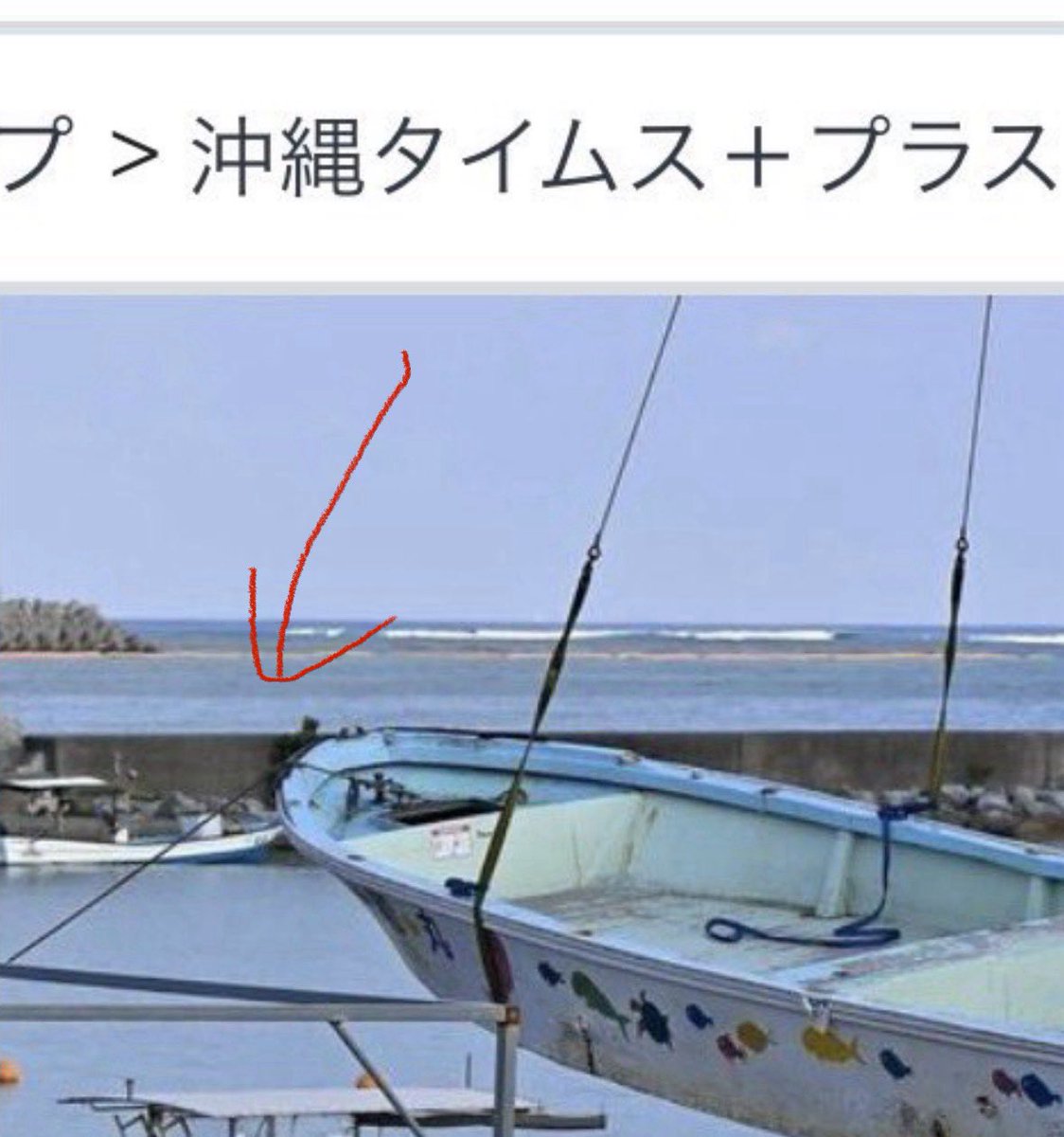 きーこ tweet media