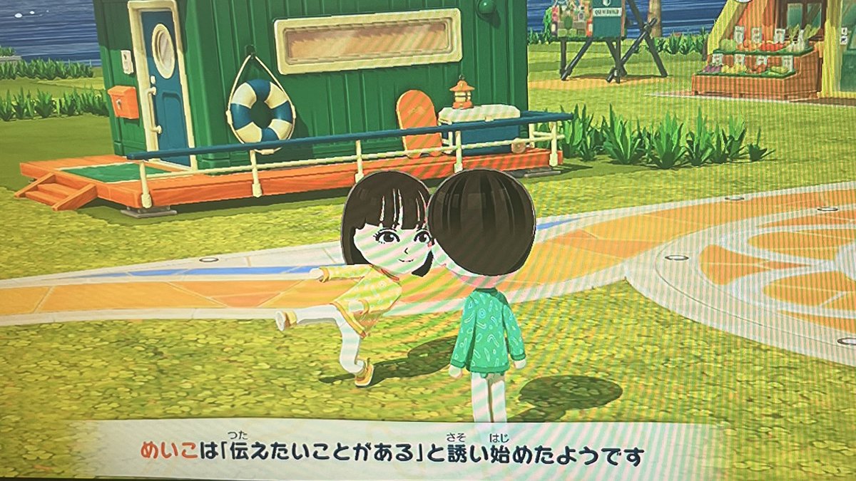 🌱まじめい(緑)🌱 tweet media