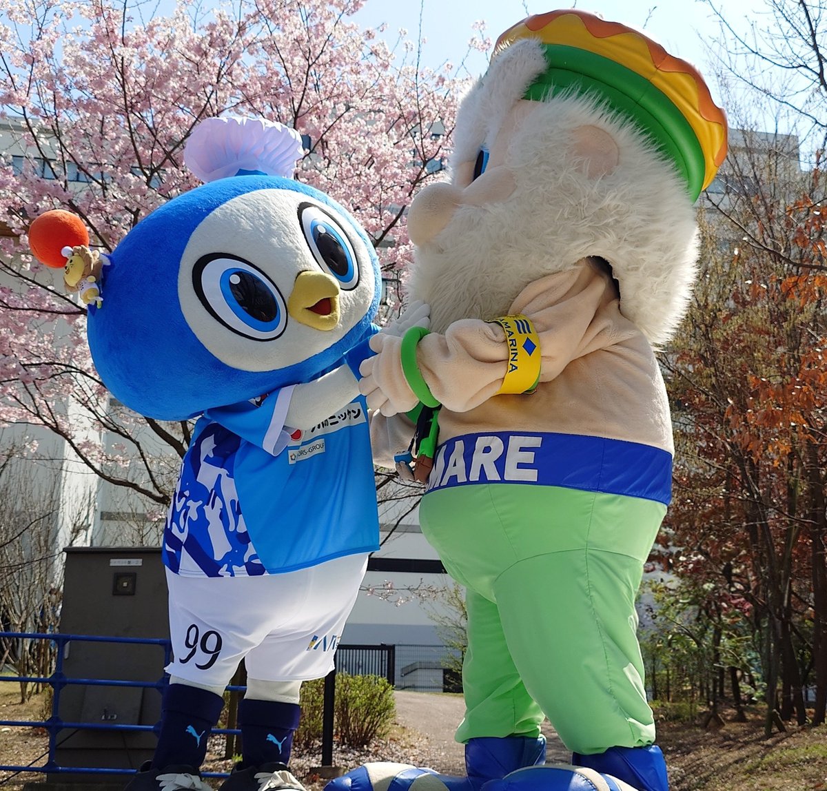 ちびちびまる tweet media