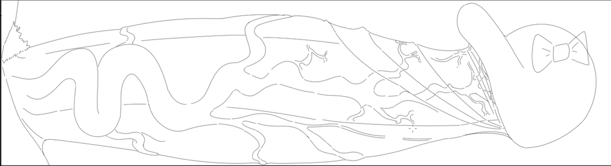 시체🔞 tweet media