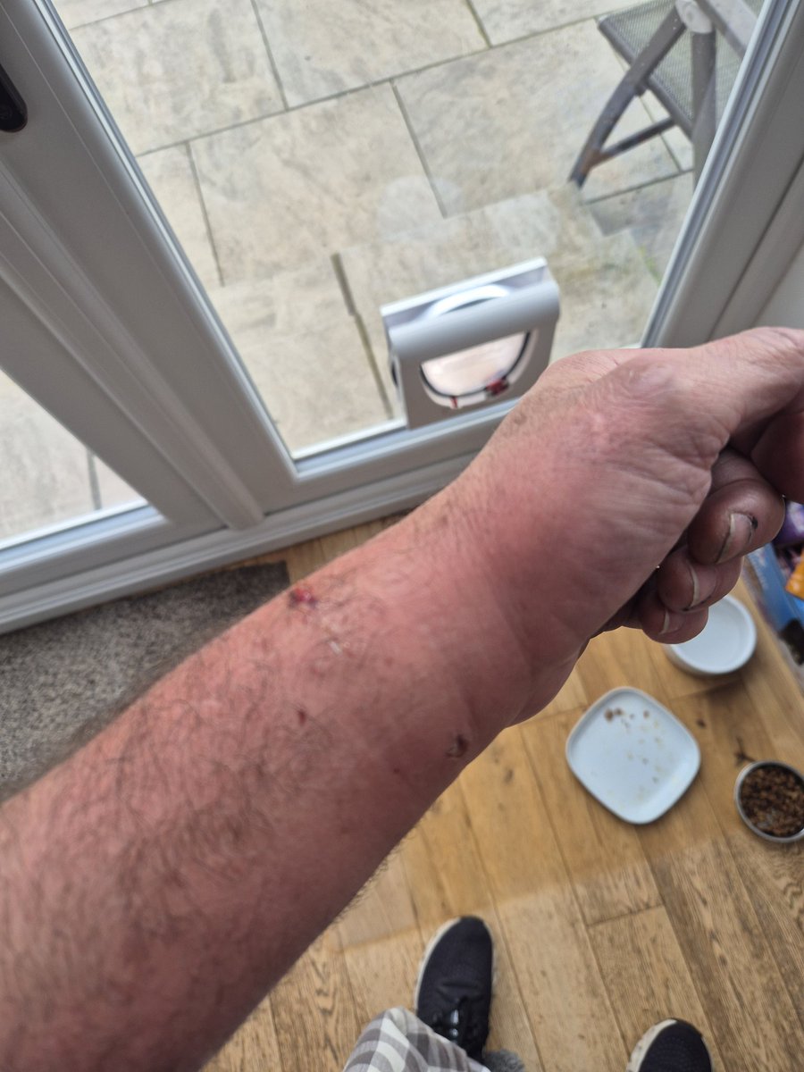 Stevie.T. 🎶🎸🎸 #murderedsongoftheday 🎶 tweet media