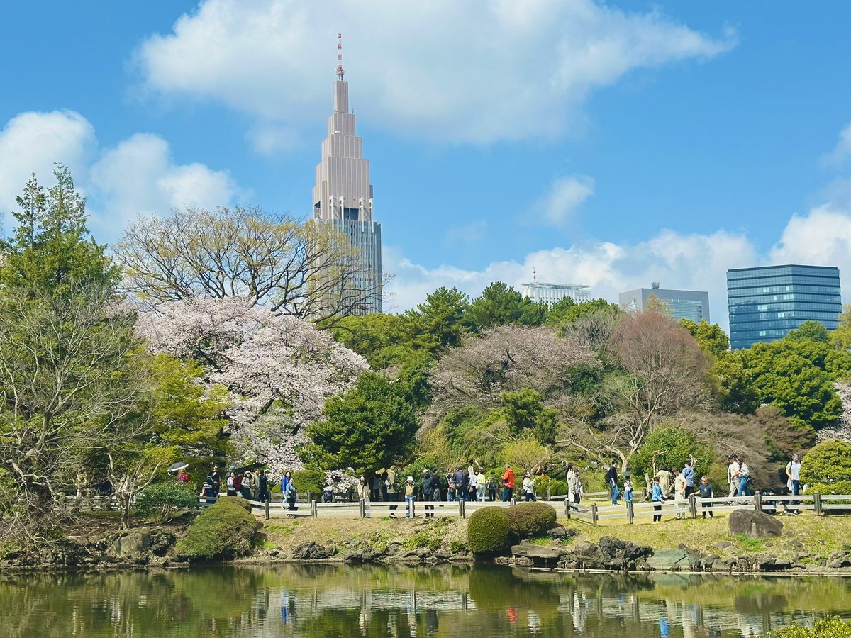 ARTIST KATHMI 🎨🖥️ 吉田佳寿美 tweet media