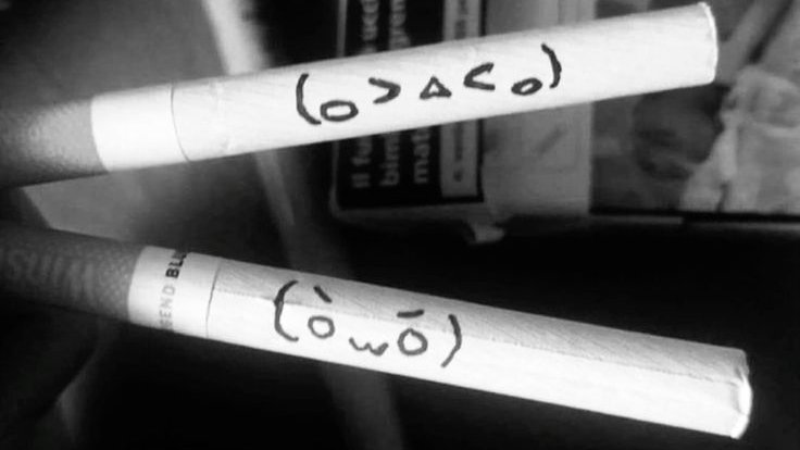 kiki 💿 tweet media