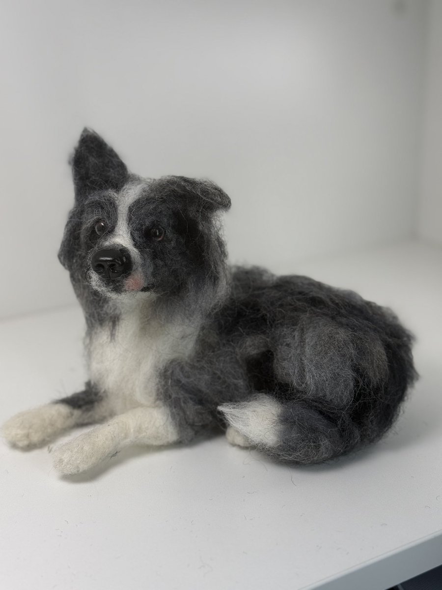 Fiona Finlayson Art tweet media