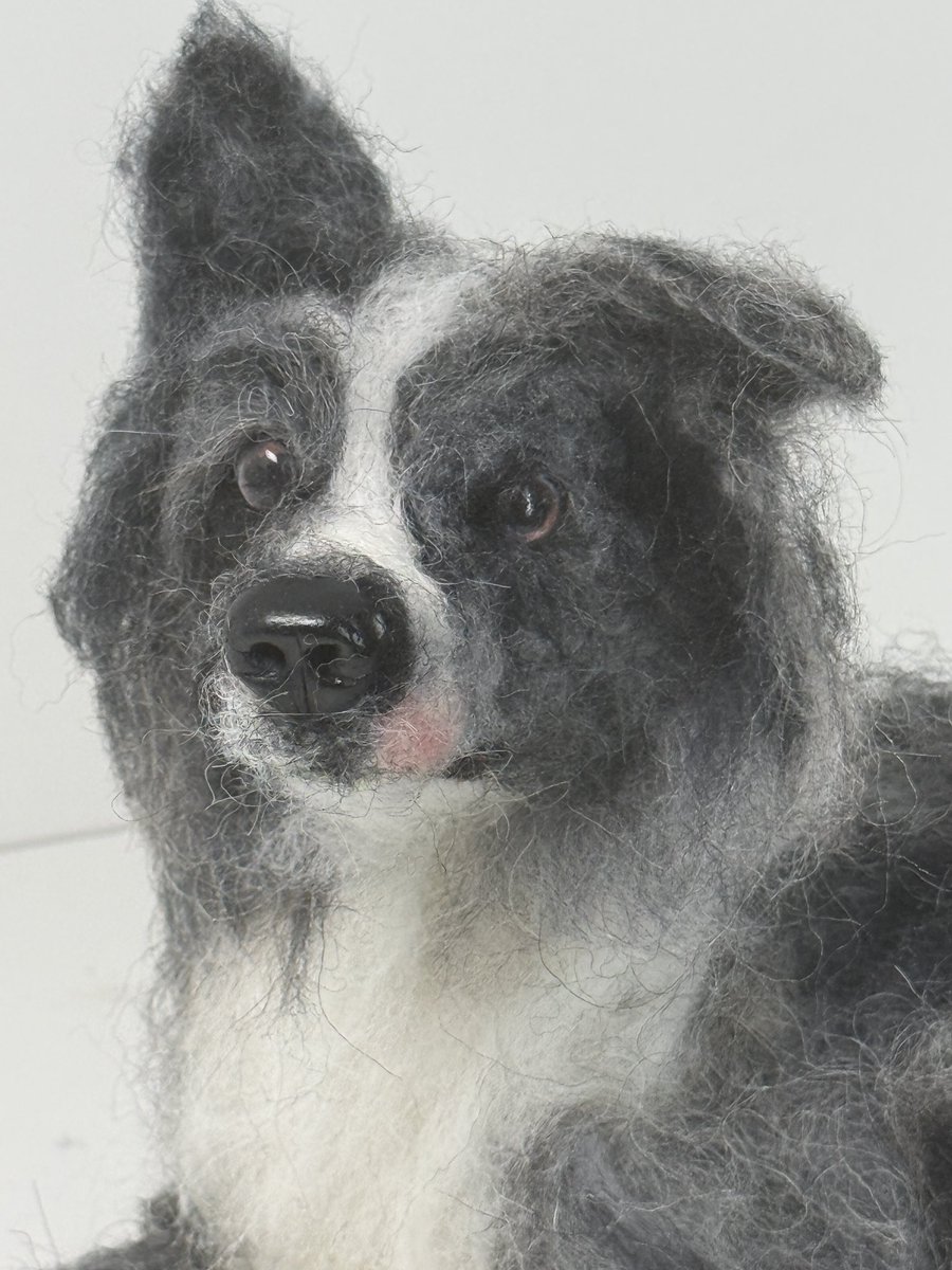 Fiona Finlayson Art tweet media