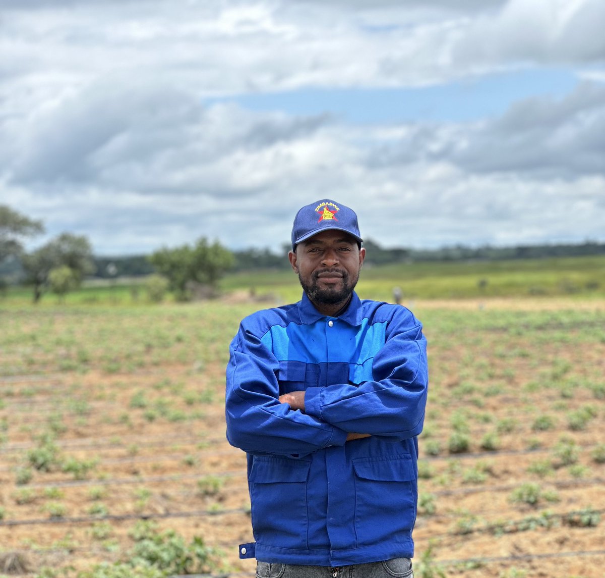 Anesu Mapisa tweet media