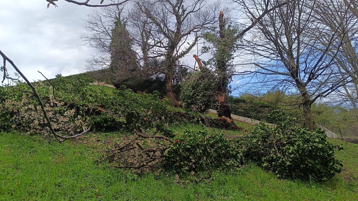 Juha Pekka Salo tweet media