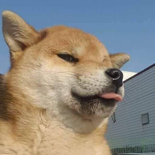 timi ☆ tweet media