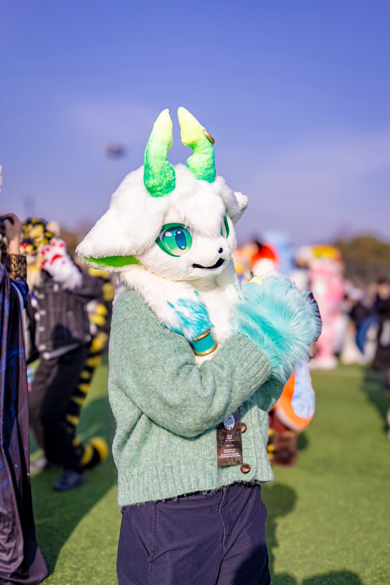 퀘이버 tweet media