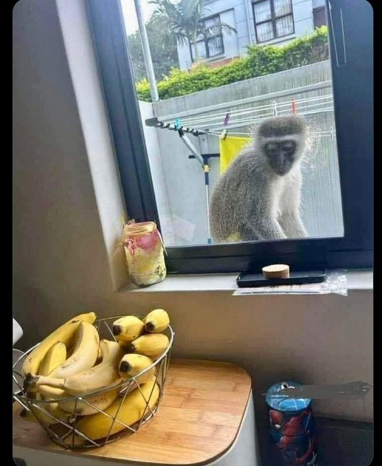 A Pic of Ruto Looking at TUTAM.