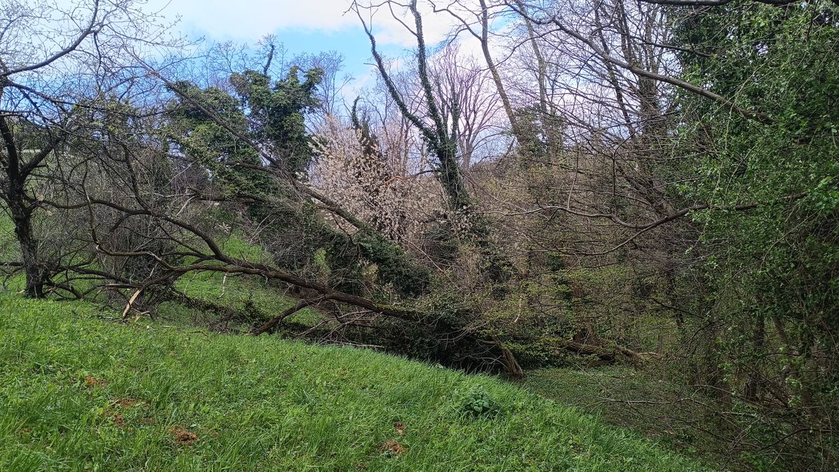 Juha Pekka Salo tweet media