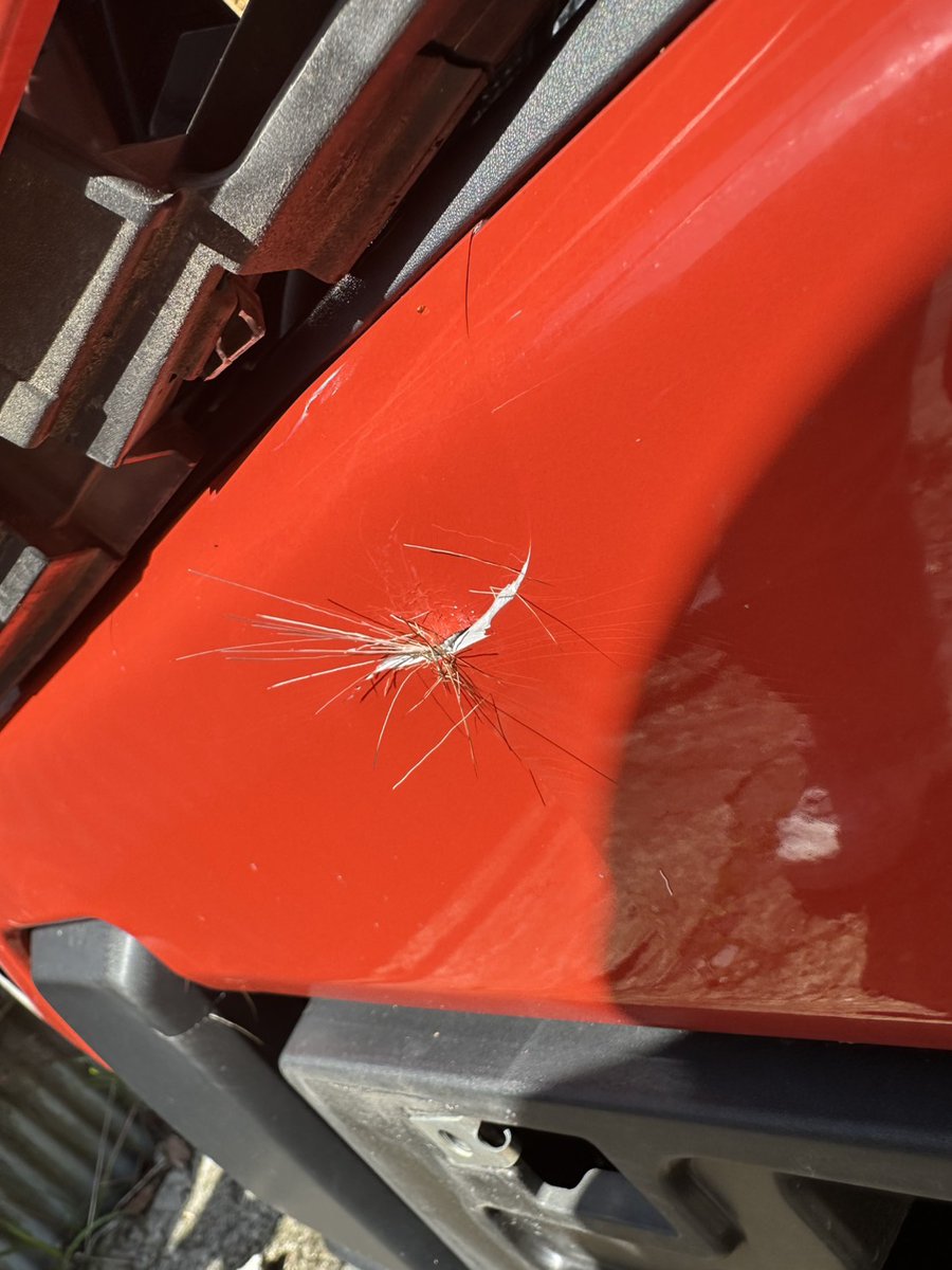 野良しかまろ tweet media