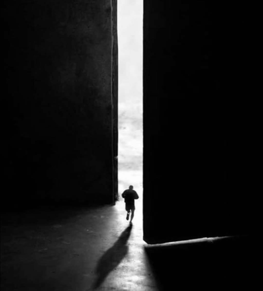 ali alghamdi tweet media