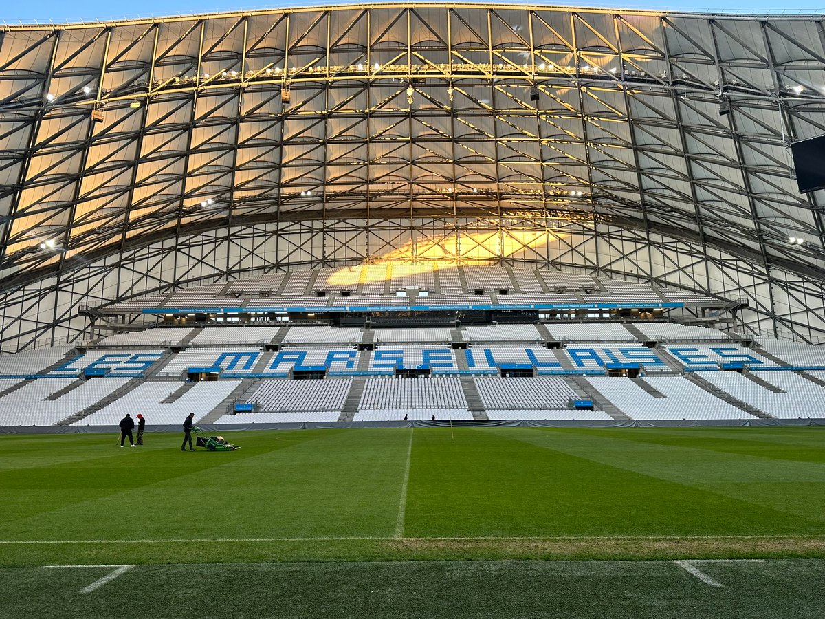 Sandra S. Riquelme tweet media