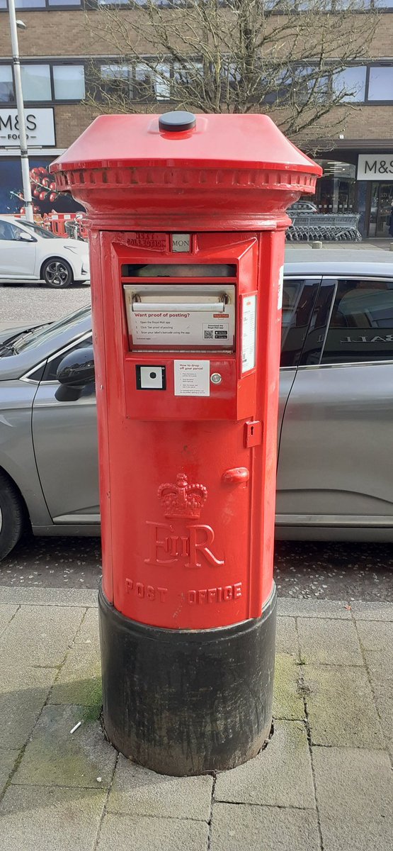 Maisie Monkey tweet media