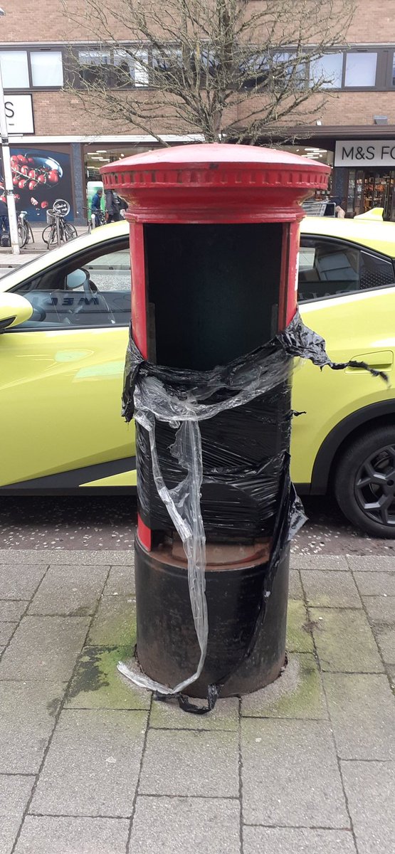 Maisie Monkey tweet media