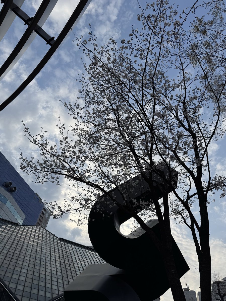 今日は都会のサクラをみに。。。
何かご縁があるといいなー
