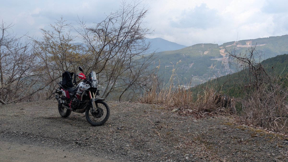 Mia_suno tweet media