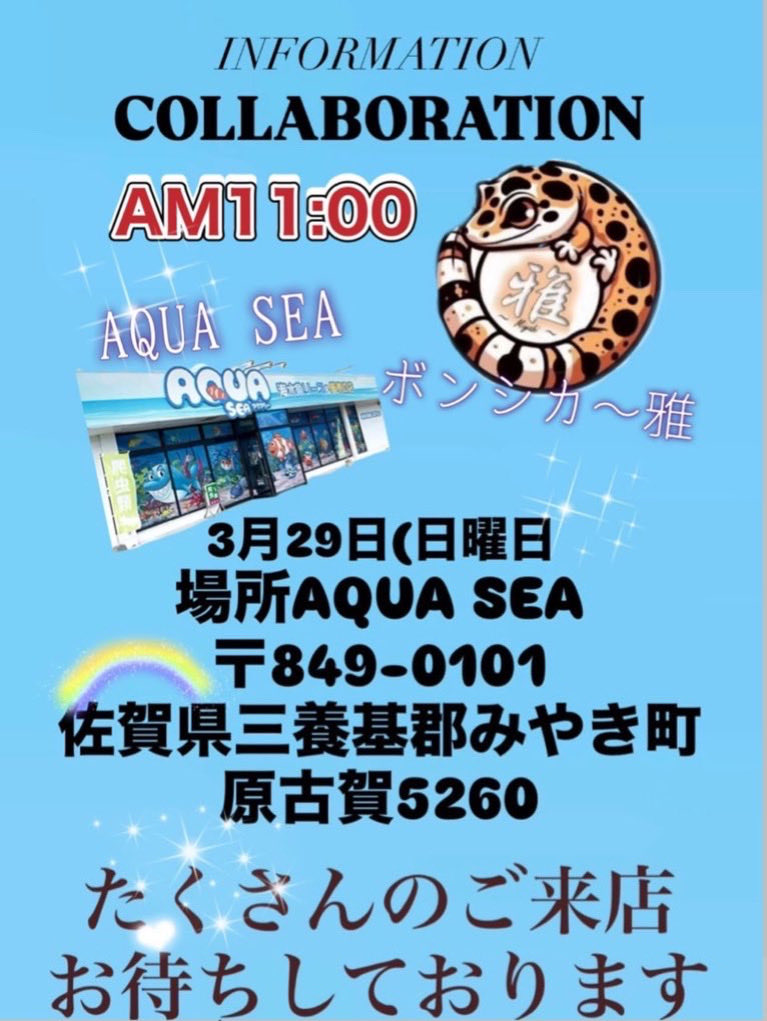 ボンシカ〜雅〜 tweet media