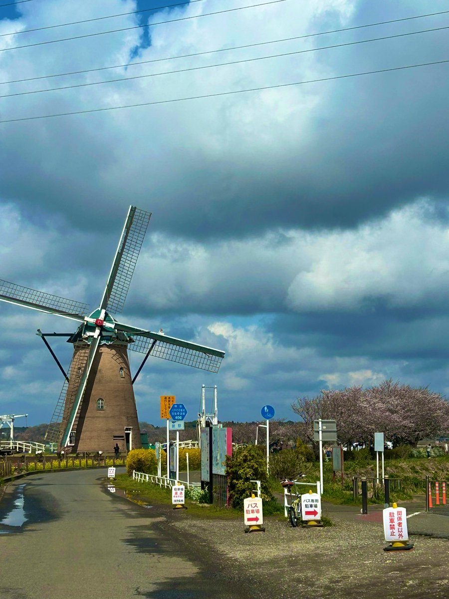 かあこ@マイペースに✩.*˚3月佐倉マラソン tweet media