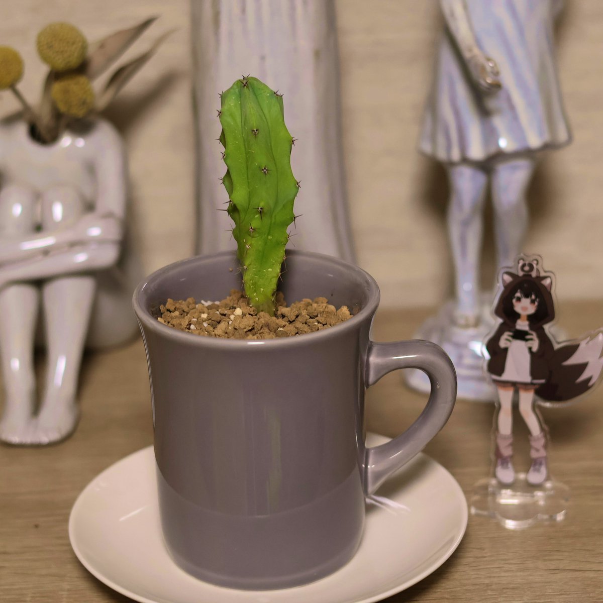 えういん@VTuber tweet media