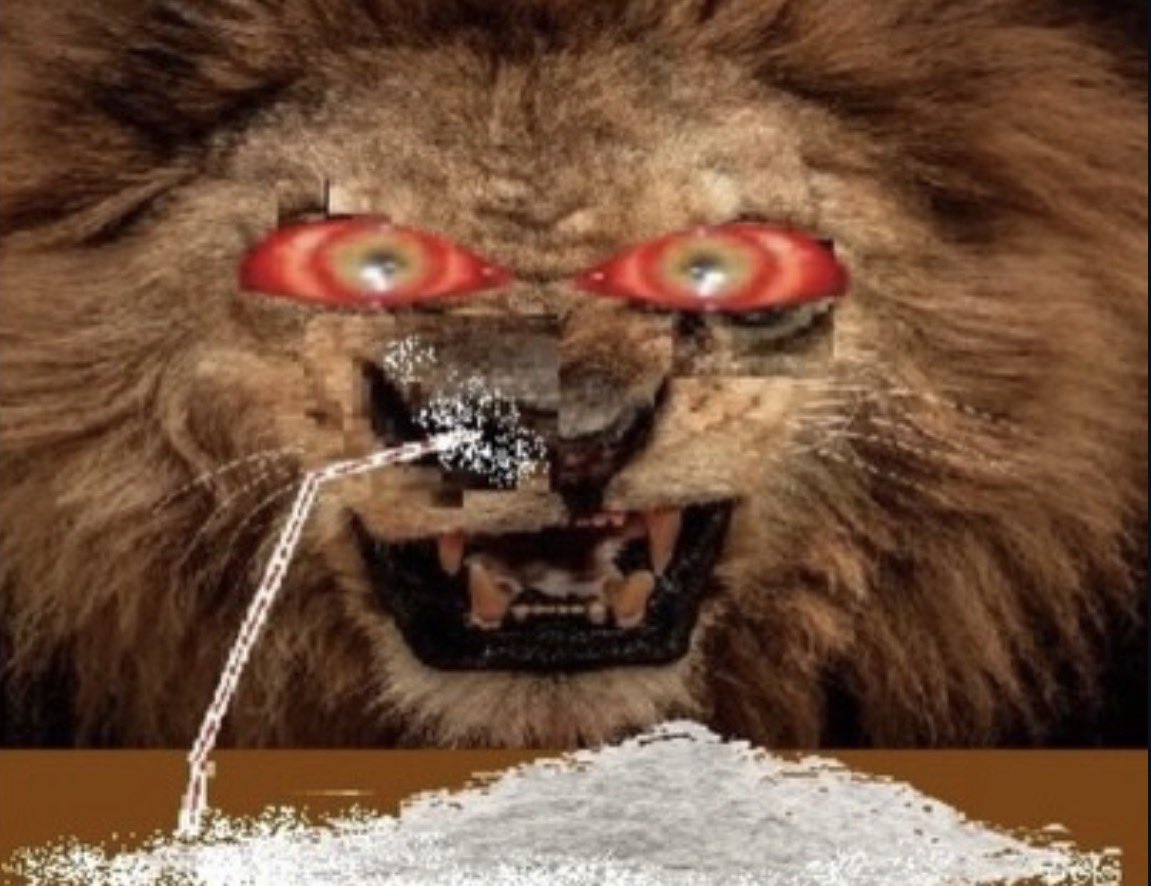 chiikawa you brave af tweet media