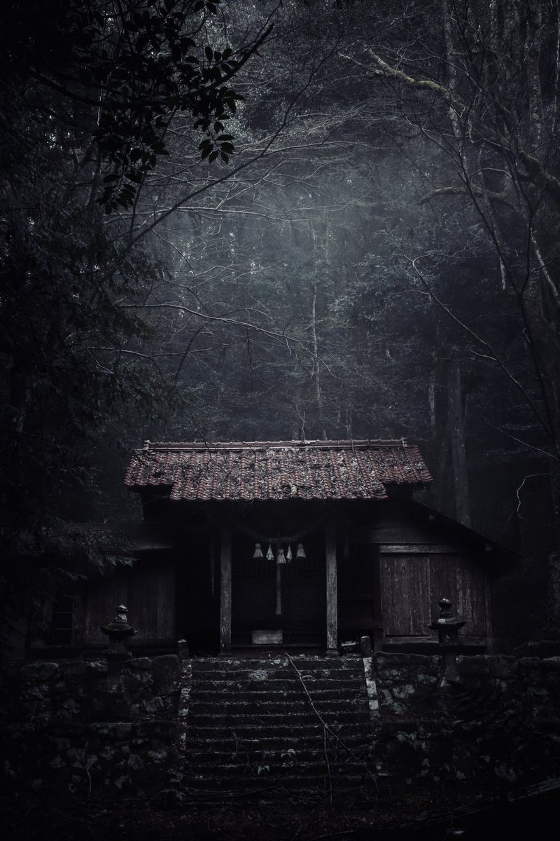 しどろ tweet media