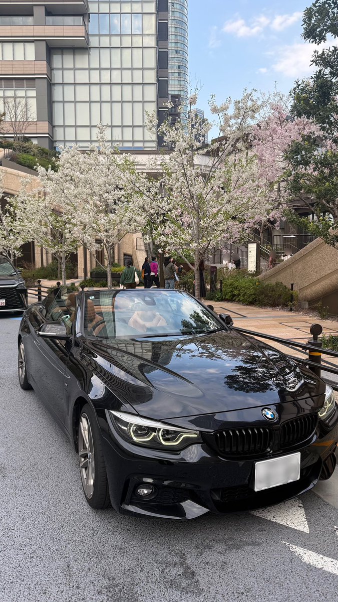 オープンカー日和