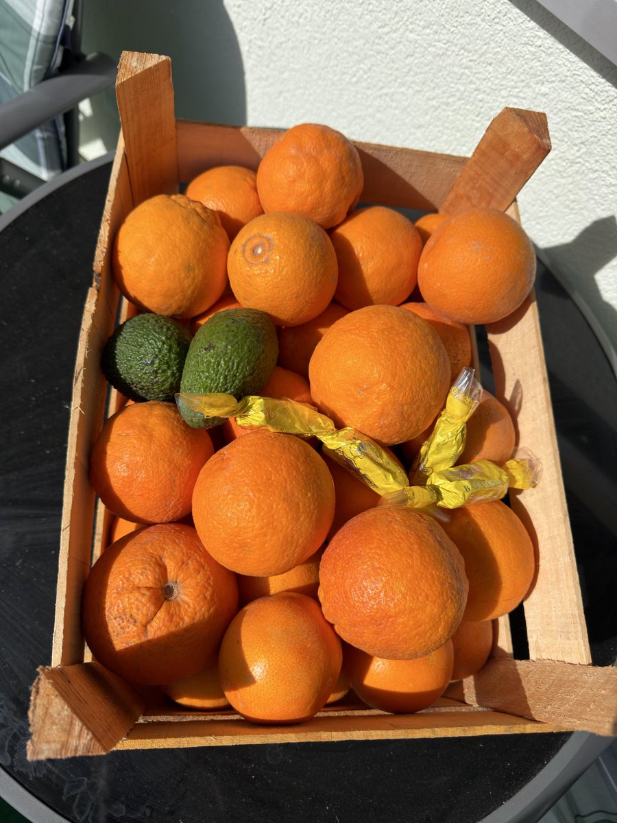 wancsBTC's tweet photo. Fresh from Italy 🍊☀️ https://t.co/1hfDnt0QWH