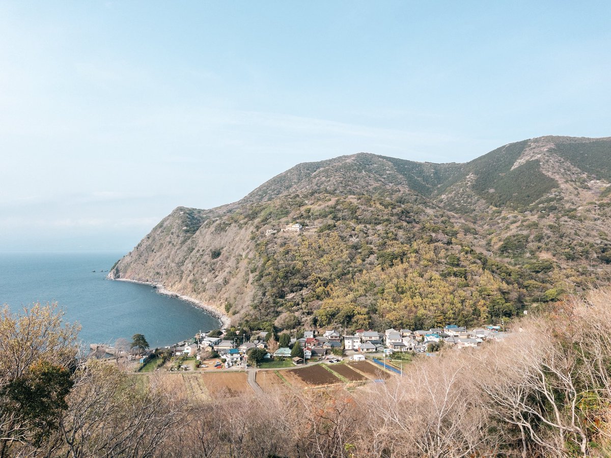 にんにん tweet media