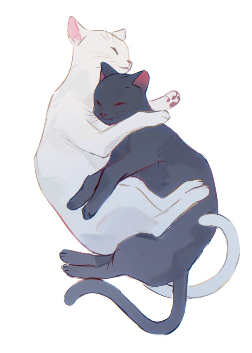 猫たち🐈
#カラマリ 
#白石景之 #drawing