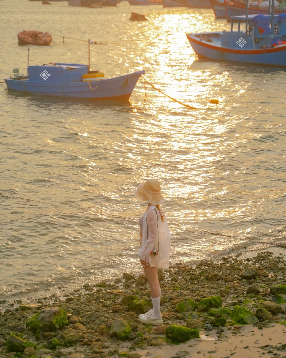 Sonnui(❖,❖) tweet media