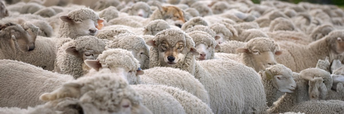 Mario (Infinite Aura) tweet media