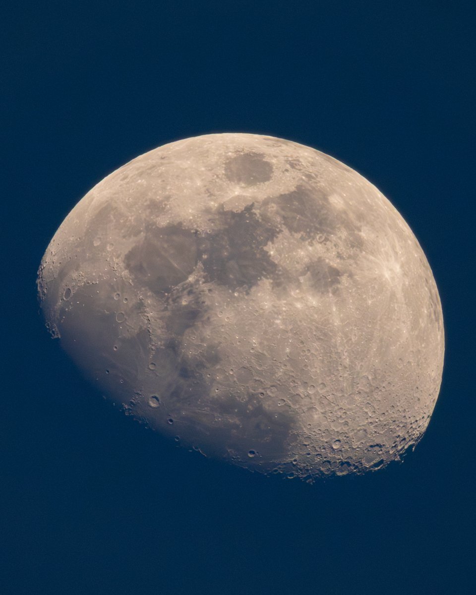 星の観察館「満天星」 tweet media