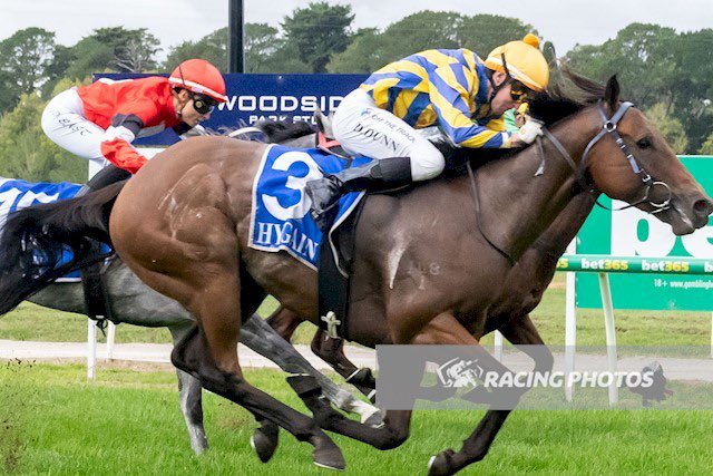 Dylan Dunn tweet media