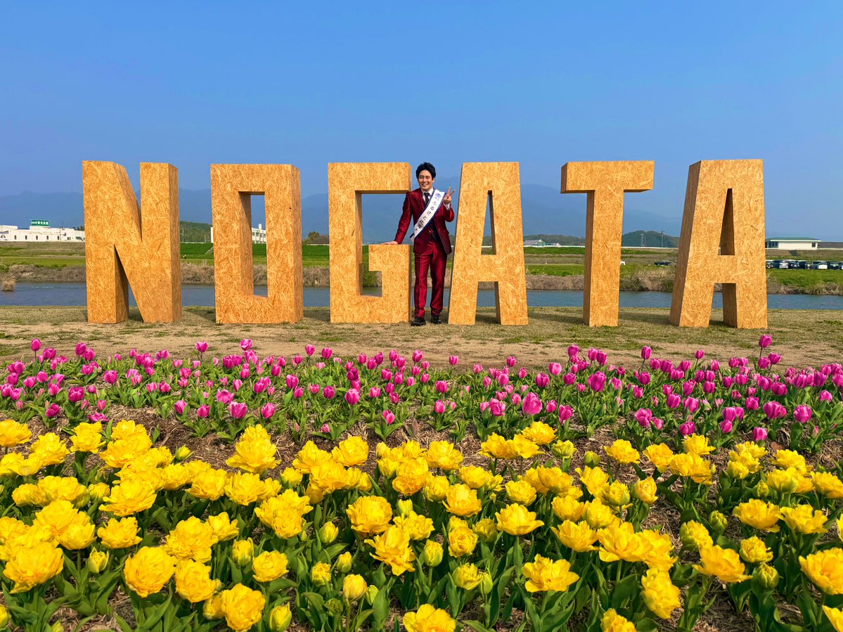 木村徹二 tweet media