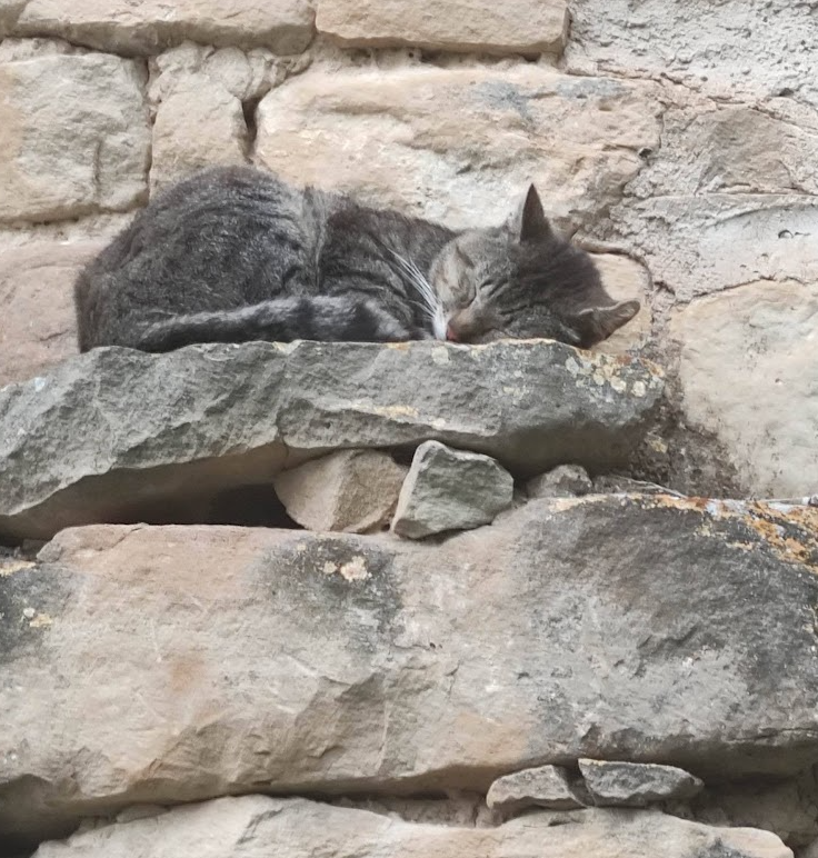 Trae paz.. si el problema ya estaba dentro..
haciéndose pasar.. por solución..
en su medida justa.. o se pierde.. el equilibrio..
o no iremos a tu rescate.. o es..
aunque no aparenta... 
el primero de su lista..

#Katharsis

#Conciencia #Psicología #Motivación #Vitoria #Gasteiz