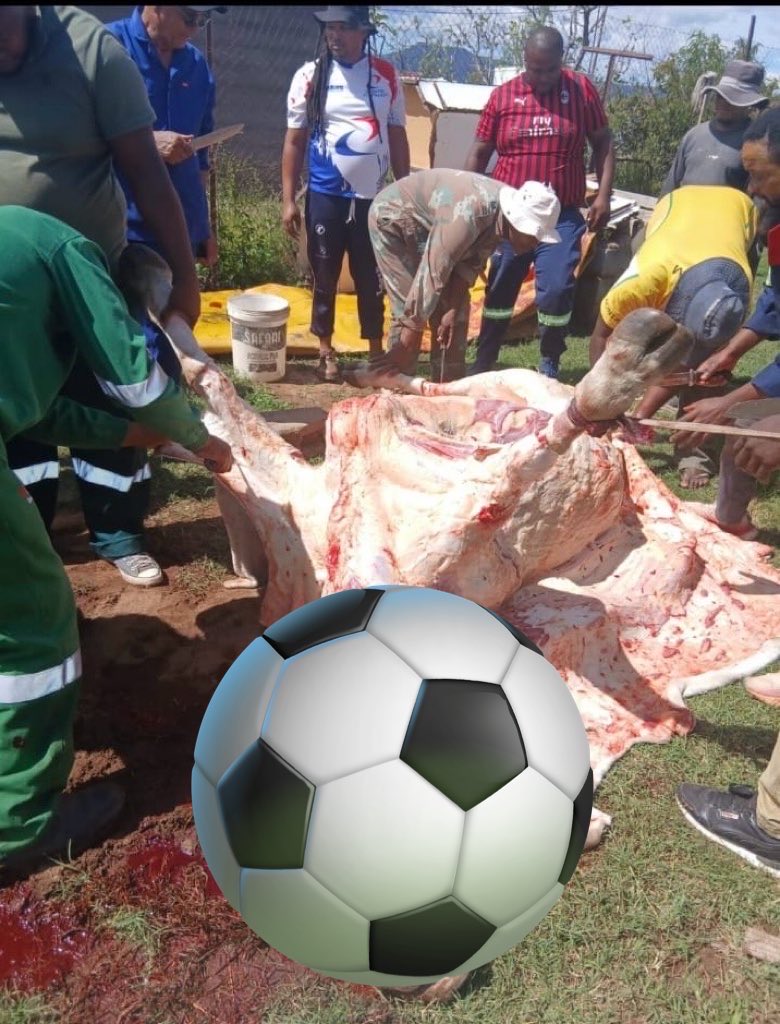 Whittlesea Branch Launch Day. Two cows down 👌🏿. Super proud of my hometown. #Khosination <a href="/KaizerChiefs/">Kaizer Chiefs</a> .