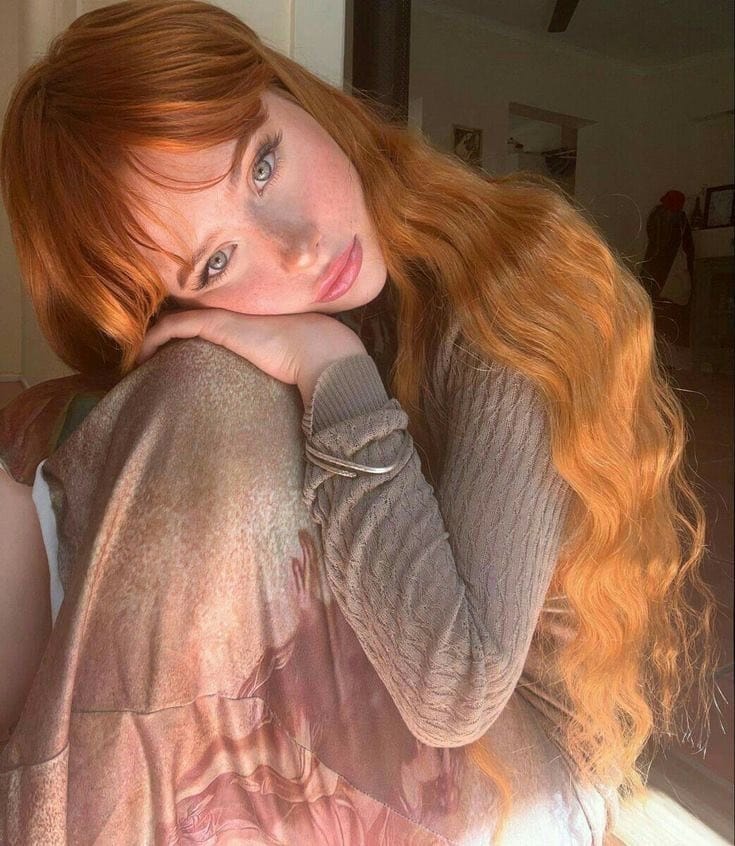 Dylan Restore 🇬🇧 🇮🇪✝️ tweet media