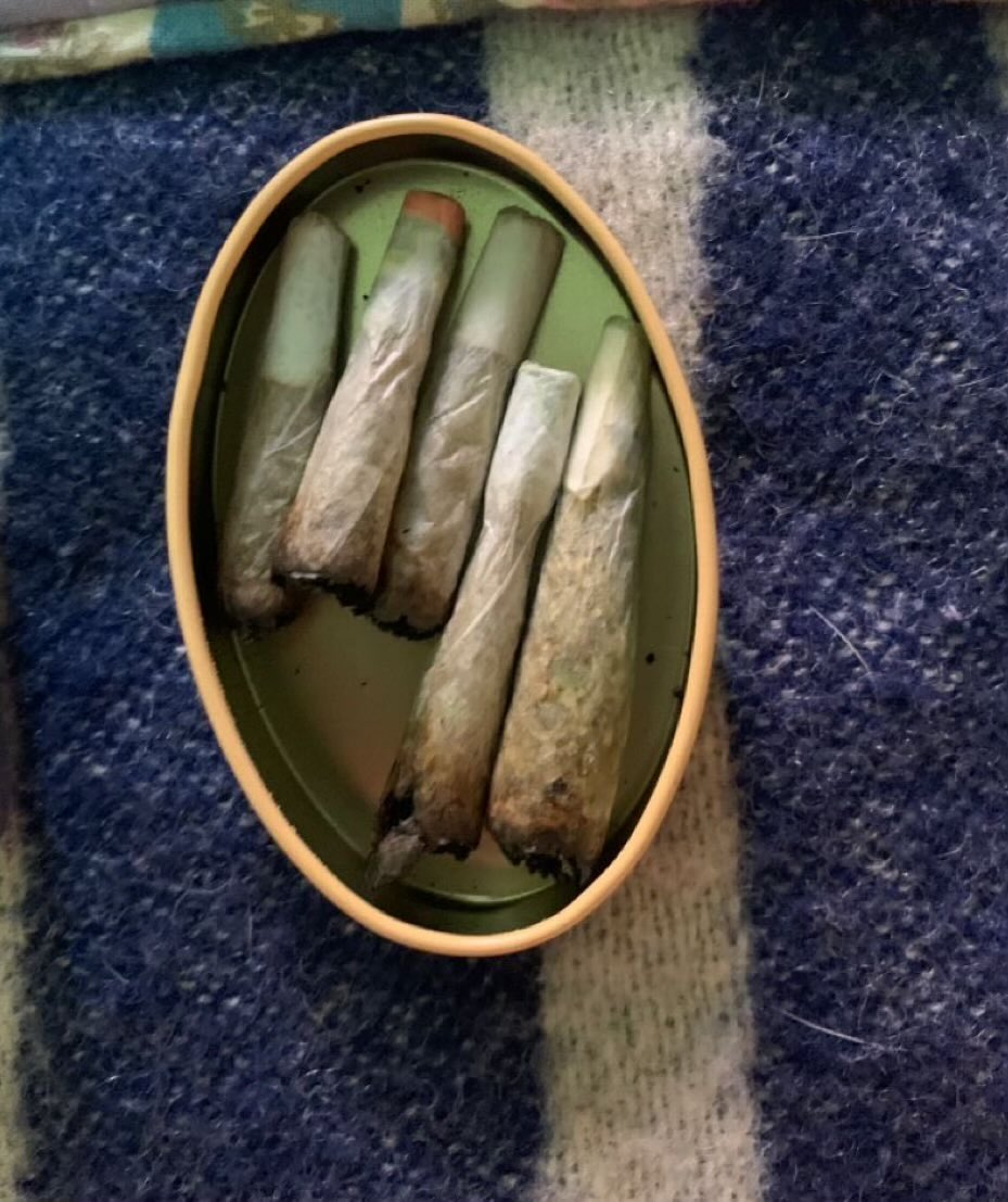 HighBeeKay💭 tweet media