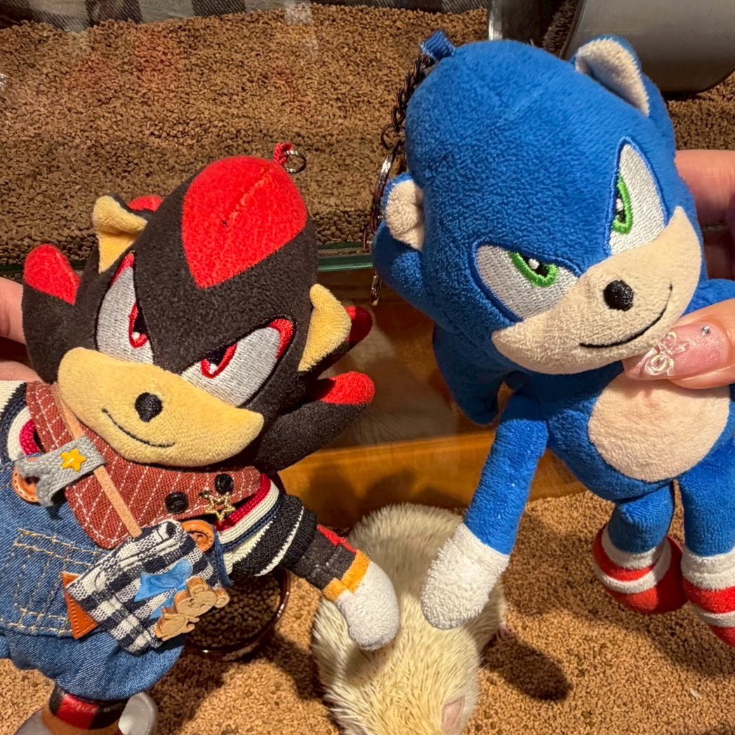 CHASYUDA tweet media