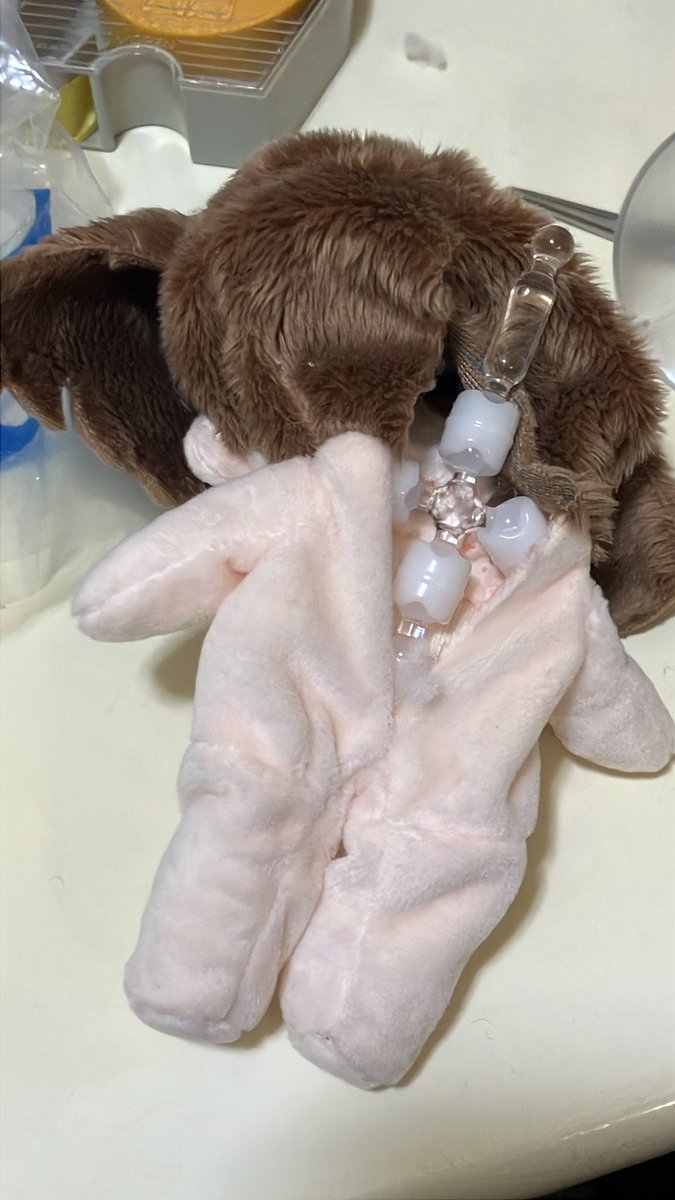 シベリア工房@なこふ tweet media