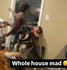 Lilac 🍉 tweet media