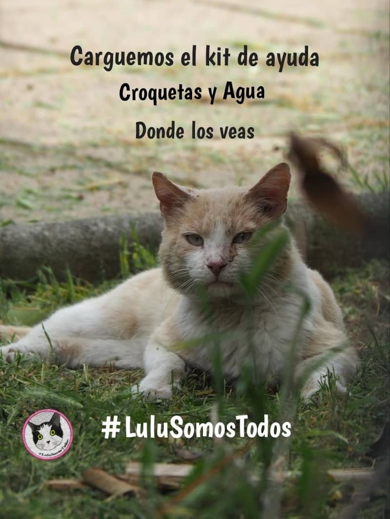 Nutrecajo tweet media